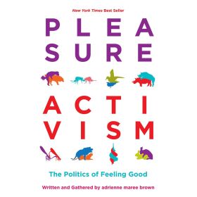 Pleasure Activism